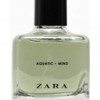 Zara Aqua Inspired Attar 25g